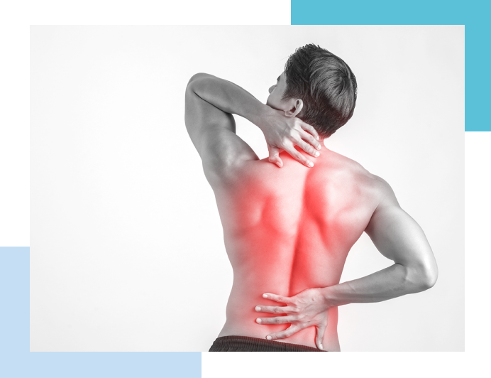 fibromialgia fibromialgia
